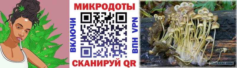 Галлюциногенные грибы мицелий  как найти наркотики  блэк спрут зеркало  Багратионовск 